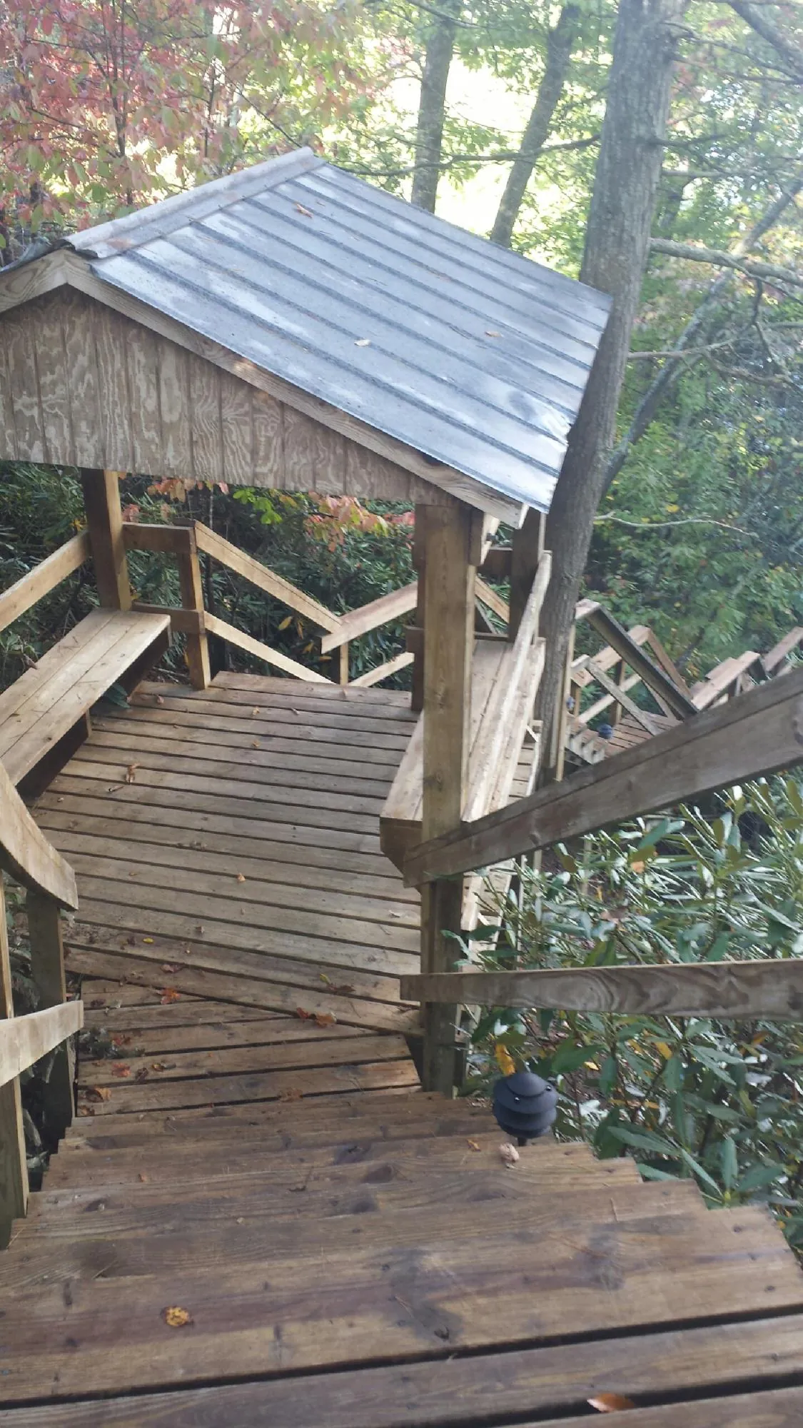 Metal roofed shelter over wooden steps on a wooded walkway — Skylight Repair & Installation work by our crew in Discovery Bay