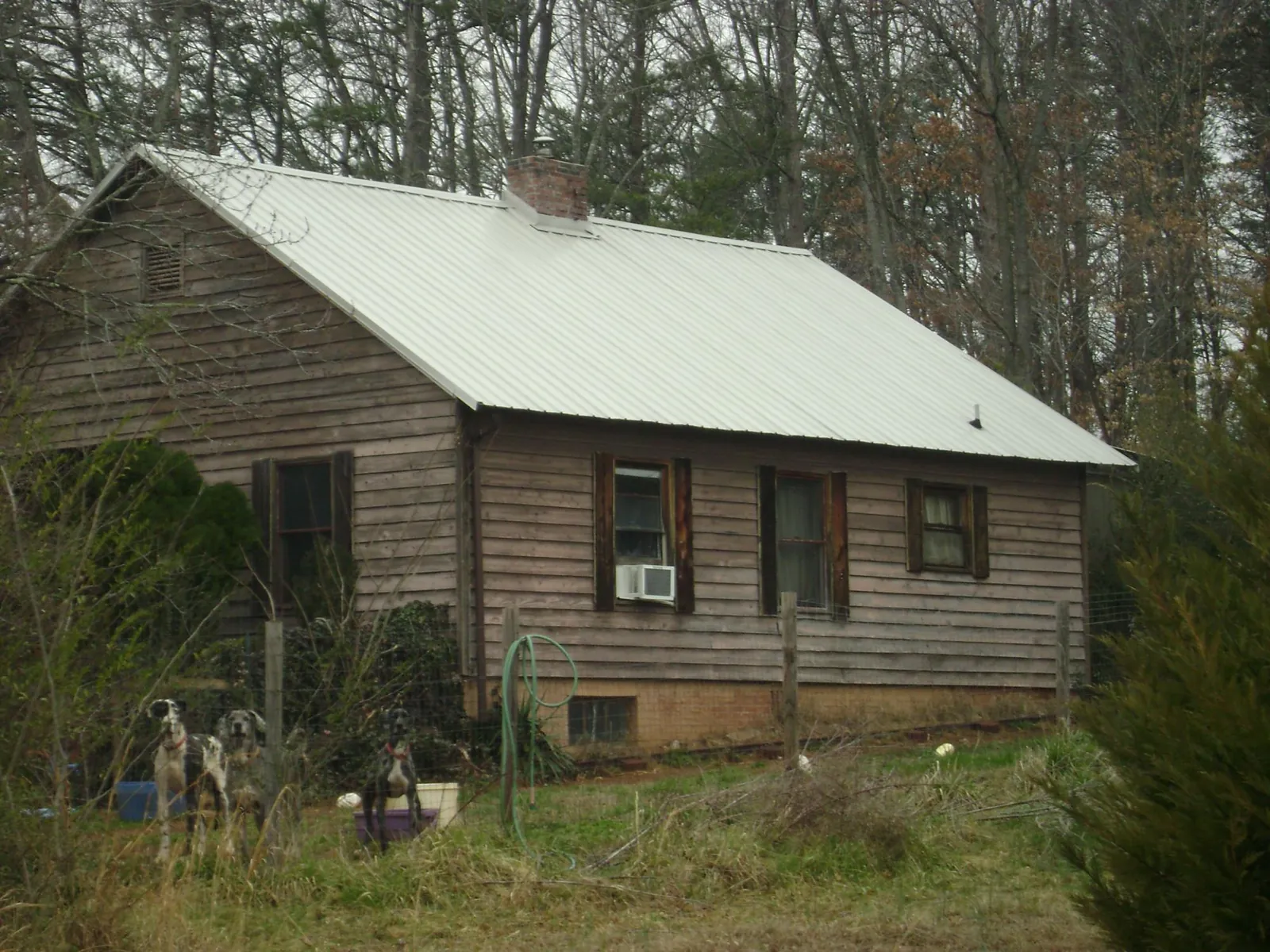 White metal roof on an old wood sided farmhouse, from a Metal Roof Installation job in Discovery Bay